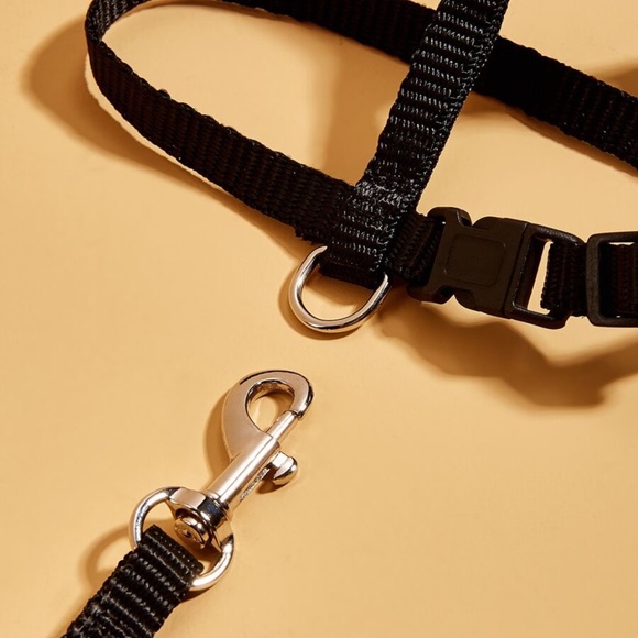 Black Pet Harness Leash - Picture 4 of 5